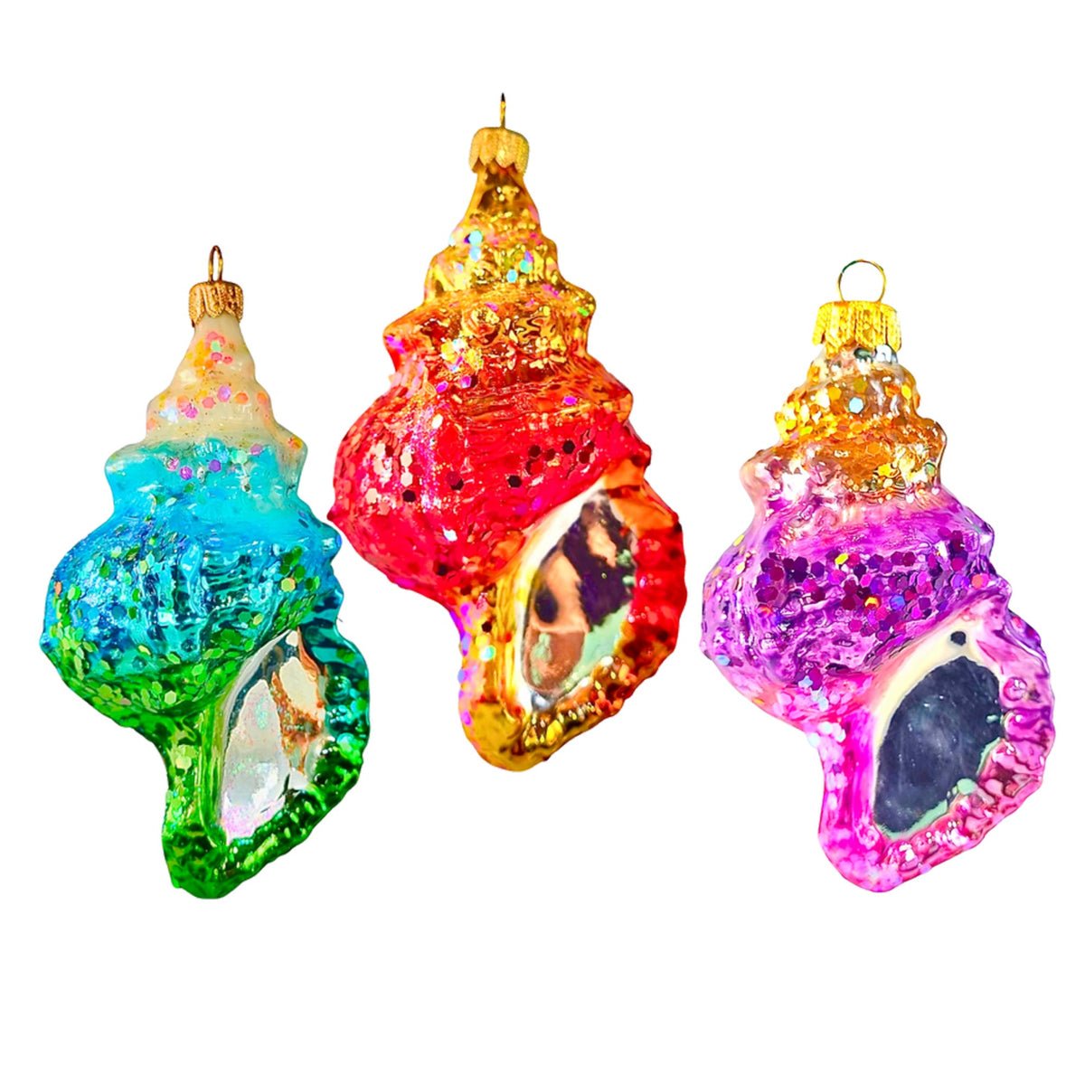 (63852) Pre-Order The Ornament King Bahama Beauty 3Pc Set, 6.00 Inch, Conch Shell Beach Ornament 42008