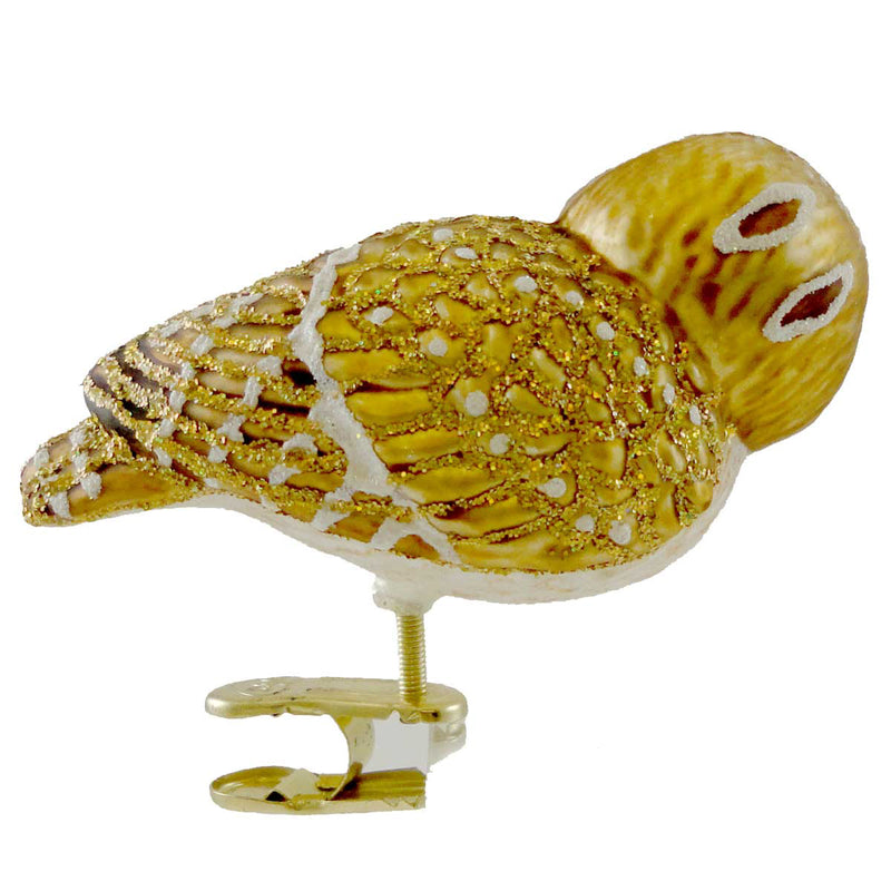 Old World Christmas Pygmy Owl - - SBKGifts.com