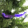 Old World Christmas Purple Martin - - SBKGifts.com