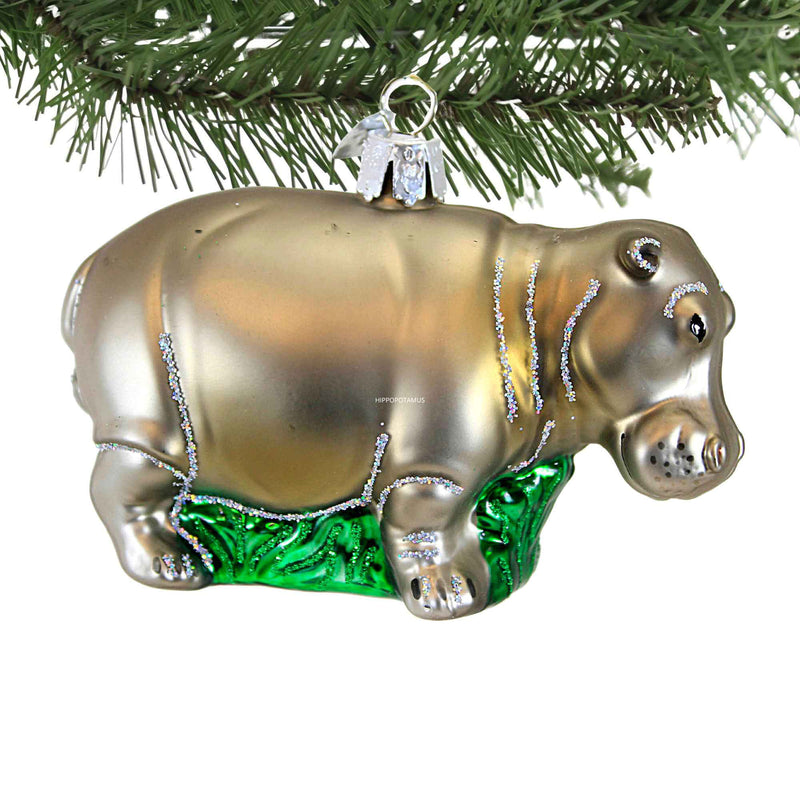 Old World Christmas Hippopotamus - - SBKGifts.com