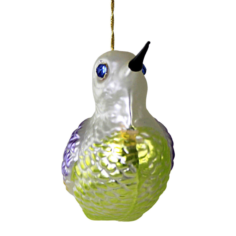 Larry Fraga Designs Bird With Blue Eyes - - SBKGifts.com