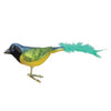 (17549) Old World Christmas Green Jay, 2.00 Inch, Christmas Ornament Birds 18100