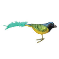 Old World Christmas Green Jay - - SBKGifts.com