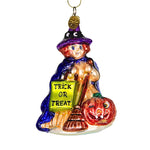 4.25 Inch Great Hexpectations Ornament Halloween Witch 3660 (1965)