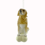 3.75 Inch Retriever On Bone Puppy Dog Christmas C3310 (20846)