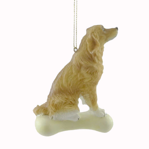 Personalized Ornaments Retriever On Bone - - SBKGifts.com