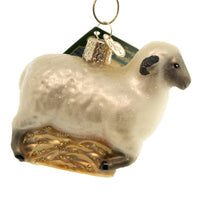 Old World Christmas Sheep - - SBKGifts.com