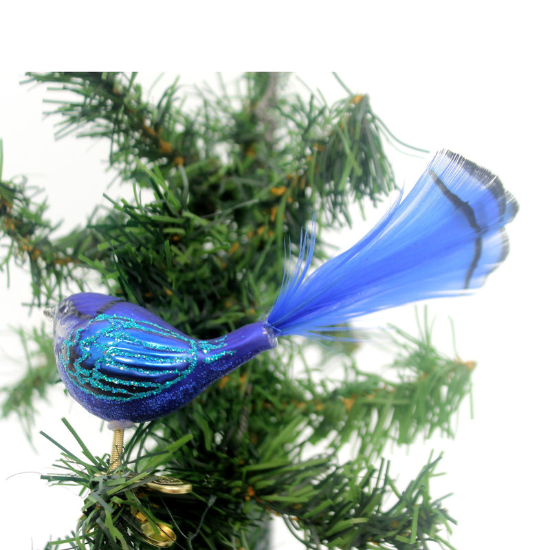 Old World Christmas Fairy Wren - - SBKGifts.com