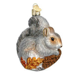 Old World Christmas Hungry Squirrel - One Ornament 3.5 Inch, Glass - Playful Bushy Tail 12277 (29837)