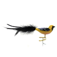 (34116) Old World Christmas Hooded Oriole, 2.00 Inch, Clip-On Joy Happiness 18127