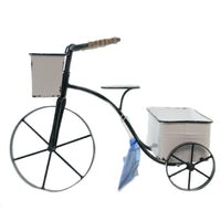 (43939) Home & Garden Tricycle Planter, 12.75 Inch, Iron Distressed Enamel 164095