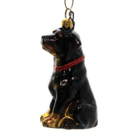 (44349) Joy To The World Rottweiler, 3.50 Inch, Ornament Pet Set Dog Companion Zkp3825