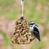 Mr. Bird All Season Fruit & Nut Bell - - SBKGifts.com