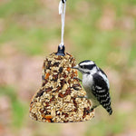 5.50 Inch All Season Fruit & Nut Bell 1Pc Single Bell Bird Food 621 (44647)