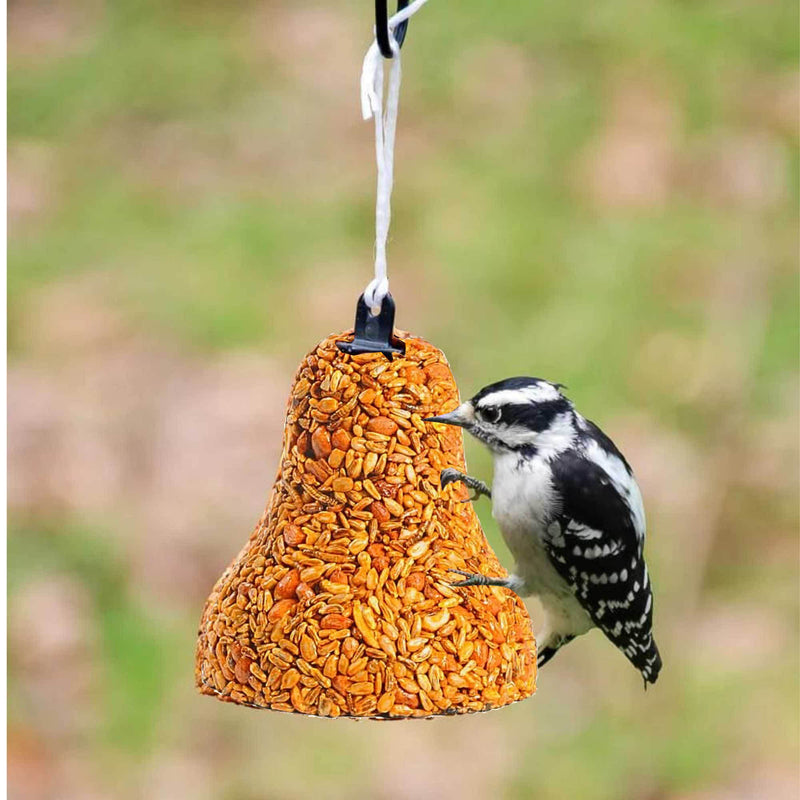 Mr. Bird Flaming Hot Feast Birdseed Bell - - SBKGifts.com