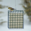 Mr. Bird Neat Feeder Xl - - SBKGifts.com