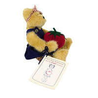 Boyds Bears Plush Serendipity Wishkabibble - - SBKGifts.com