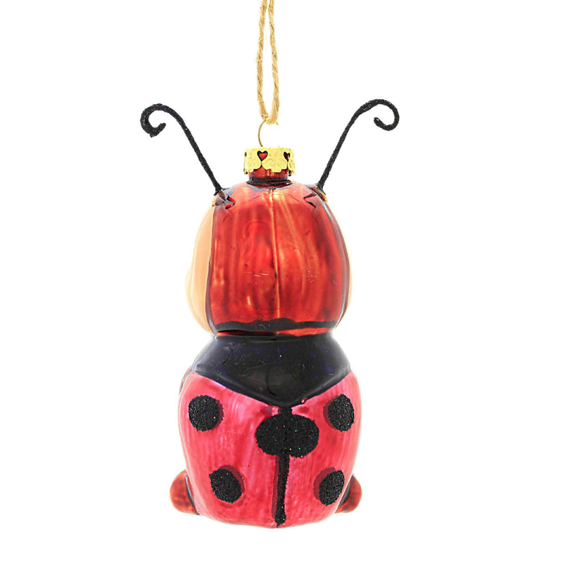 Cody Foster Lovebug - - SBKGifts.com