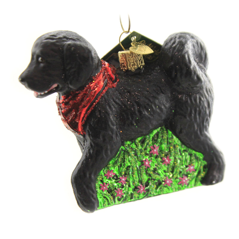 Old World Christmas Black Doodle Dog - - SBKGifts.com