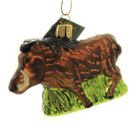 (45771) Old World Christmas Warthog, 2.50 Inch, Ornament Pig 12574