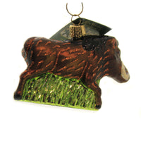 Old World Christmas Warthog - - SBKGifts.com