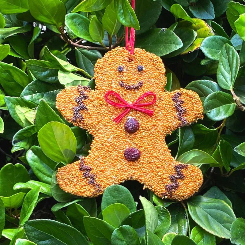 Mr. Bird Gingerbread Man Christmas Cookie - - SBKGifts.com