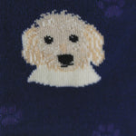 Novelty Socks Goldendoodle Socks - - SBKGifts.com