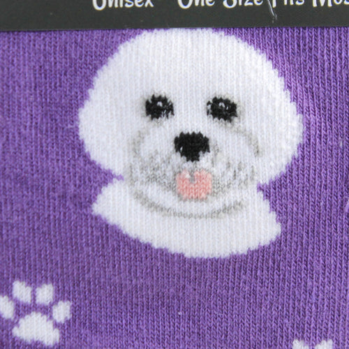 Novelty Socks Bichon Frise Socks - - SBKGifts.com