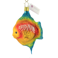 (50838) Inge Glas Angel Fish Yellow, 4.75 Inch, Ornament Christmas Ocean 10098S021