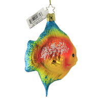 Inge Glas Angel Fish Yellow - - SBKGifts.com