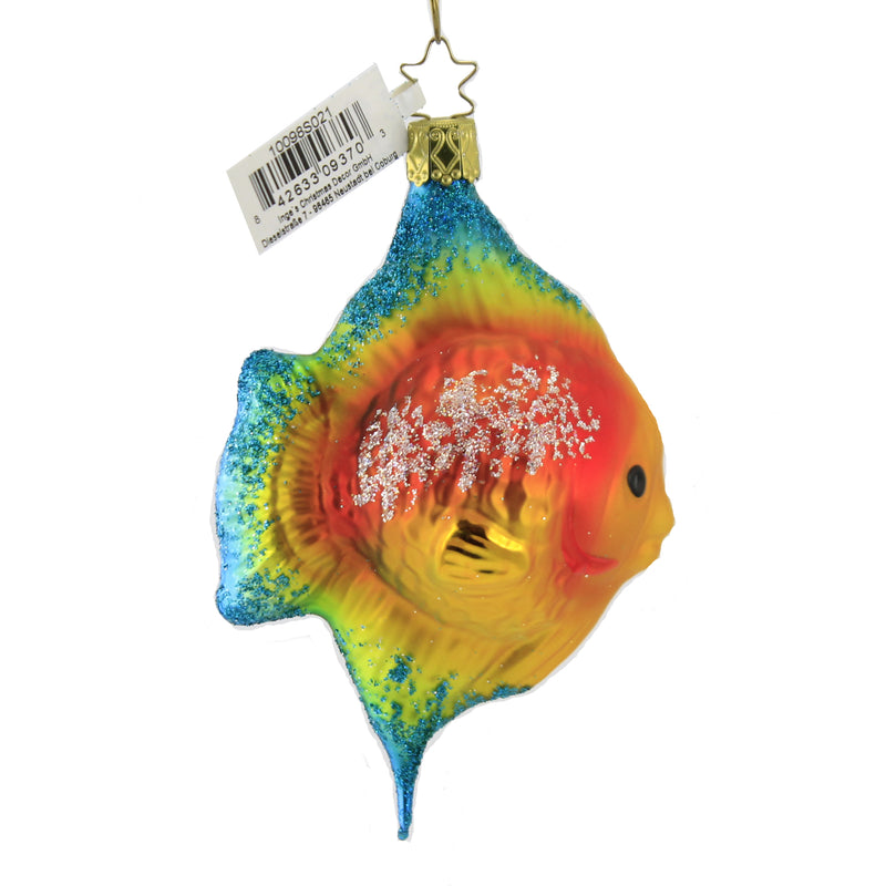 Inge Glas Angel Fish Yellow - - SBKGifts.com