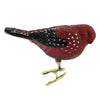 (51416) Old World Christmas Strawberry Finch Clip-On, 3.50 Inch, Colorful Plumage 18134.