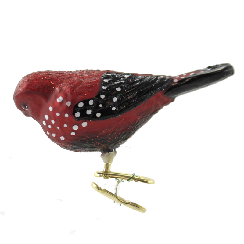 Old World Christmas Strawberry Finch Clip-On - - SBKGifts.com