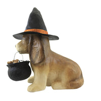 Halloween Trick Or Treat Dog - - SBKGifts.com