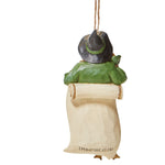 Jim Shore Scarecrow Dioloma Ornament - - SBKGifts.com