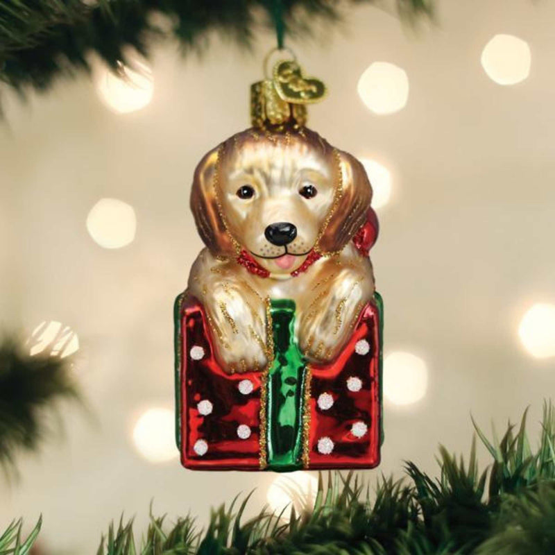 Old World Christmas Golden Puppy Surprise - - SBKGifts.com