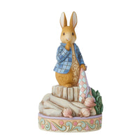 (55637) Jim Shore Presently He Drop Half Of Onion, 6.50 Inch, Beatrix Potter Peter Rabbit 6010687