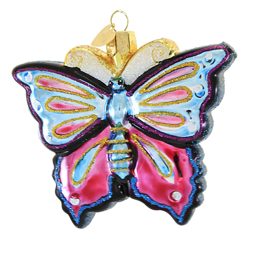 Old World Christmas Fanciful Butterfly - - SBKGifts.com