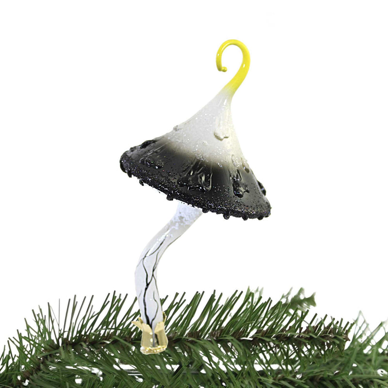 Blubom Black & White Magic Mushroom - - SBKGifts.com