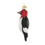 Old World Christmas Red-Headed Woodpecker Glass Ornament Bird 16140 (56175)
