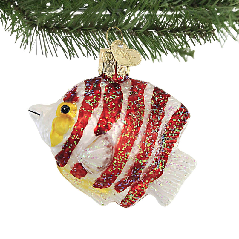 Old World Christmas Peppermint Angelfish - - SBKGifts.com