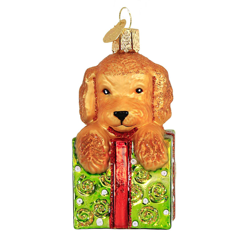 Old World Christmas Doodle Puppy Surprise Glass Ornament Dog Present 12650 (56203)