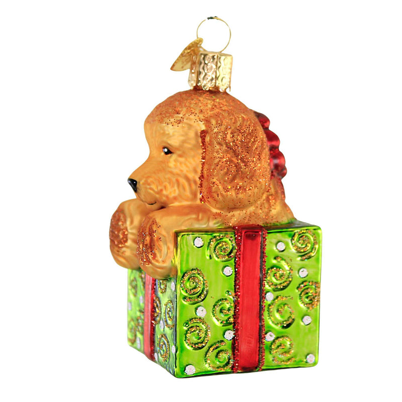 Old World Christmas Doodle Puppy Surprise - - SBKGifts.com