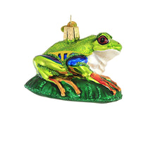 Old World Christmas Red-Eyed Tree Frog - - SBKGifts.com