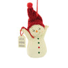 (56897) Holiday Ornament Up For Occasional Meltdown, 3.50 Inch, Snowpinion 6010024