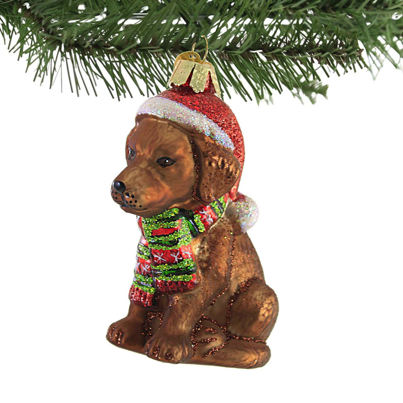 Old World Christmas Holiday Chocolate Lab Puppy - - SBKGifts.com