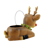 Christmas Shining Bright Rudy - - SBKGifts.com