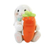 (58608) Tabletop Bunny And Carrot Salt & Pepper, 3.00 Inch, Easter Set Rabbit Ea18143