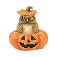 (59165) Bethany Lowe Mr. Grumps, 5.25 Inch, Halloween Owl Pumpkin Td2211