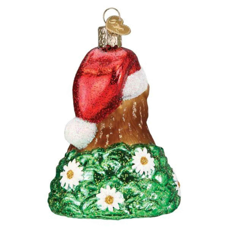 Old World Christmas Santa Groundhog - - SBKGifts.com